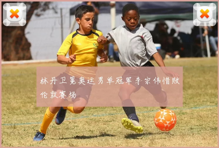 林丹卫冕奥运男单冠军李宗伟惜败伦敦赛场