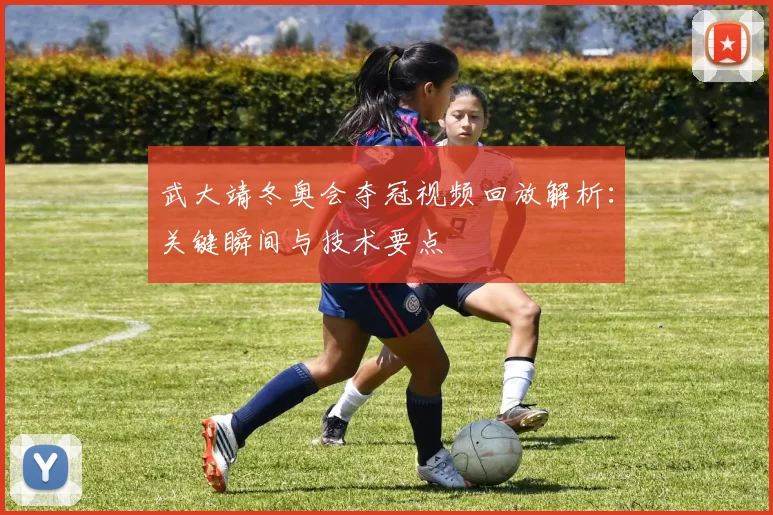 武大靖冬奥会夺冠视频回放解析：关键瞬间与技术要点