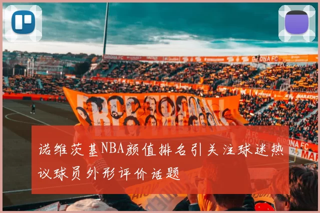 诺维茨基NBA颜值排名引关注球迷热议球员外形评价话题