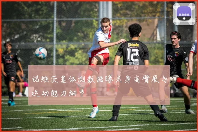诺维茨基体测数据曝光身高臂展与运动能力细节