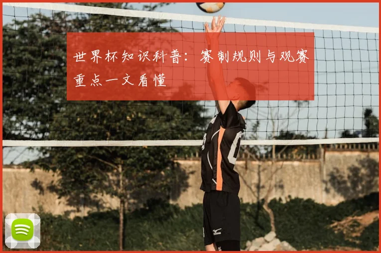 世界杯知识科普:赛制规则与观赛重点一文看懂