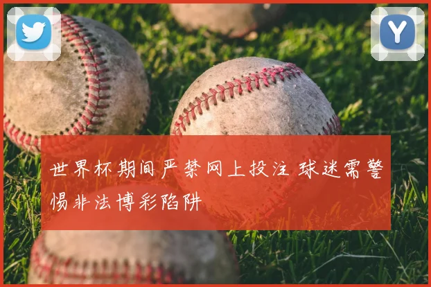 世界杯期间严禁网上投注 球迷需警惕非法博彩陷阱