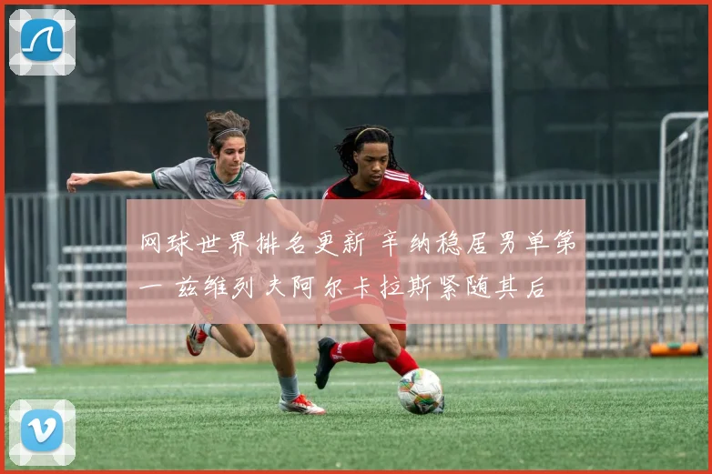 网球世界排名更新 辛纳稳居男单第一 兹维列夫阿尔卡拉斯紧随其后