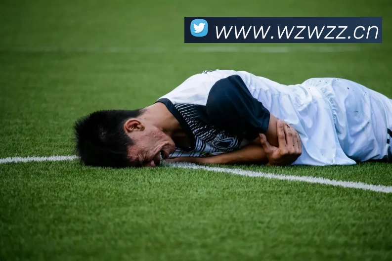 星空体育·(StarSky Sports)中国官方网站服务体系